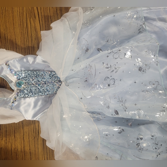 Cinderella costume - Picture 2 of 4